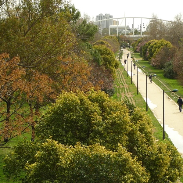 Architecture Tour Valencia 8