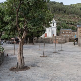 PT06©Frederico-Martinho